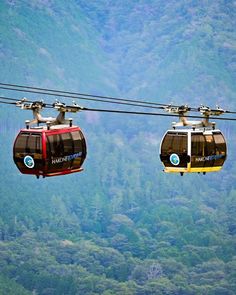 two gondolas with the word vancouver on them are suspended above a forested area