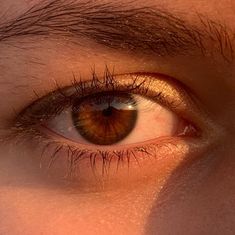 Hazel Brown Eyes, Eye Pictures, Dark Brown Eyes, Aesthetic Boy, Dark Eyes