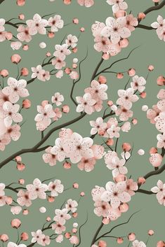 a floral wallpaper with pink flowers on a green background in the style of japanese painting