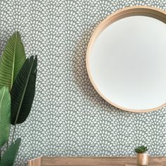 a round mirror on the wall next to a potted plant and a wooden shelf