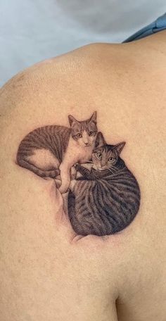 two cats sitting on top of each other on the back of a woman's shoulder