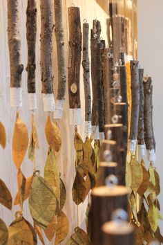 several different types of trees hanging from the ceiling