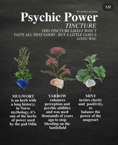 Magical Herbs Witchcraft, Herbs For Protection