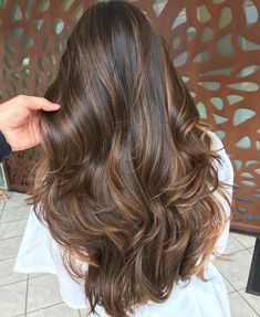 Long Hair Light Brown Balayage, Amber Lowlights In Brown Hair, Cold Brew Highlights On Dark Hair, Carnal Baliage, Gorgeous Brunette Hair Color, Honey Brown Lowlights On Dark Hair, Reddish Brunette Balayage Hair, Brown Hair With Highlights Reddish, Honey Lowlights On Dark Hair