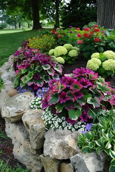 colorful flowers are growing on the rocks in this garden