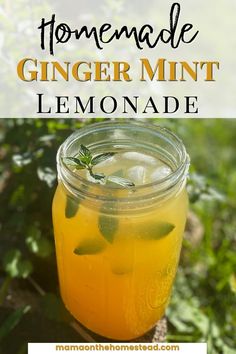 homemade ginger mint lemonade in a mason jar with text overlay that reads homemade ginger mint lemonade