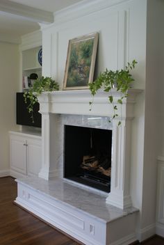 a white fireplace with some plants on top