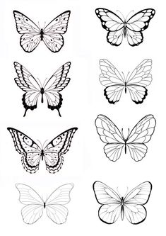 the different types of butterflies that can be seen in this drawing lesson, which shows how to