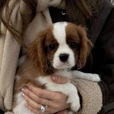 a woman holding a brown and white puppy