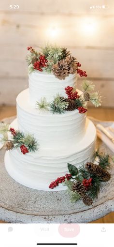 a white wedding cake with pine cones and berries