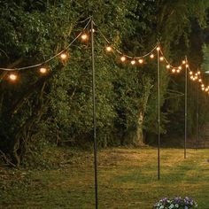 an outdoor area with several lights strung from poles and flowers in the grass near trees