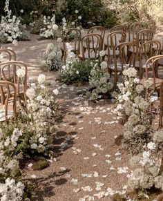 rows of wooden chairs with white flowers on the ground next to each other in an outdoor ceremony