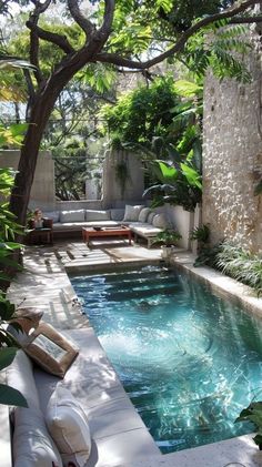 an outdoor swimming pool surrounded by greenery