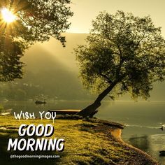 a tree sitting on top of a lush green hillside next to a lake with the words wish you good morning