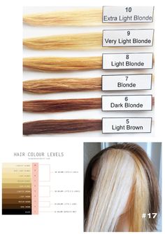 Levels Of Hair Color, Hair Color Placement, Hair Stages, Hair Dye Videos, Hair Science, Hair Foils