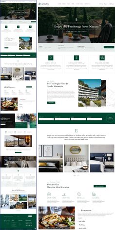 the website design is designed to look like it has many different layouts and colors