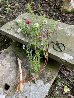 an old pair of scissors is laying on the ground next to some flowers and plants