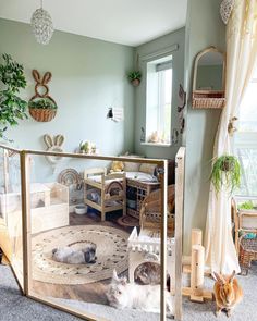 two cats are sitting on the floor in front of a glass door that opens into a living room