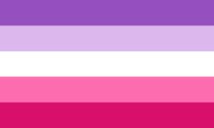 Flag description: A horizontal five-stripe flag. Colors in order: 1. Medium violet; 2. Soft violet; 3. White; 4. Soft pink; 5. Strong pink. Color codes in order: 1. #954FBE; 2. #DBB7EE; 3. #FFFFFF; 4. #FE6CB0; 5. #D8106C. End of flag description. Romantic Attraction Flags, Romantic Orientation Flags, Lithromantic Aesthetic, Mogai Flags, Attraction Flags, Aesthetic Attraction, Identity Issues, Crochet Help, Romantic Attraction