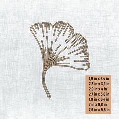 a drawing of a scallop shell on a white background with the measurements for it