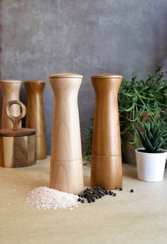 three wooden salt and pepper shakers sitting on a counter next to a potted plant