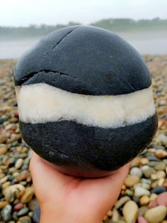 a hand holding a black and white rock