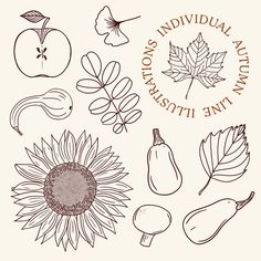 an illustration of various fruits and vegetables with the words individual autumn written below it in brown ink