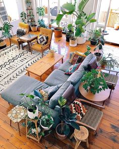 a living room filled with lots of furniture and plants on top of wooden flooring