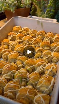 a pan filled with rolls covered in cheese and sauce on top of a table next to potted plants