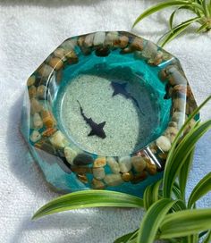 a glass bowl filled with sand next to a plant on top of a white towel