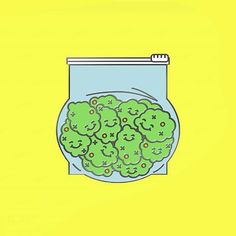 a drawing of a bunch of green plants in a container on a yellow background,