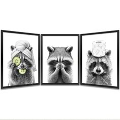 three pictures of raccoons wearing towels and cucumber slices in front of them