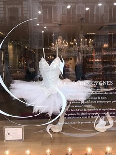 a ballerina's tutule and dress are on display in a window