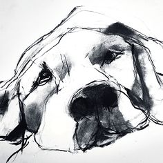 a black and white drawing of a dog's head with its eyes closed in front of the camera