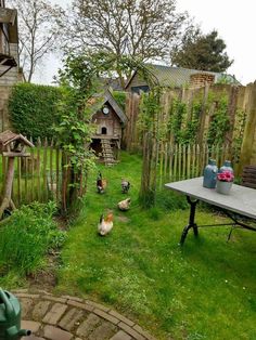 some chickens are walking around in the grass near a table and fenced in area