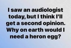 an airplane flying in the sky with words above it that read, i saw an audiologist today, but i think i'll get a second opinion why on earth would i need a hero egg?