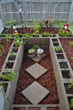 an outdoor garden area with plants in it