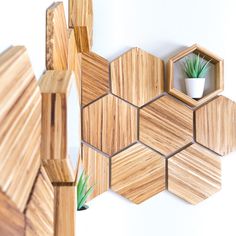 a wall with wooden hexagonal tiles and a potted succulent plant