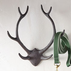 an antler's head is hanging on the wall with a green ribbon around it