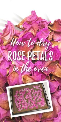 pink flowers with the words how to dry rose petals in the oven on top of it