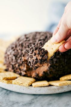 a hand holding a cracker over a chocolate cookie doughnut on a white plate