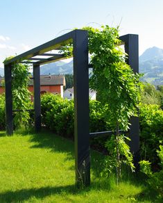 an outdoor area with green grass and bushes