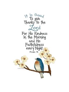 a blue bird sitting on top of a tree branch with the words, it is good to give thanks to the lord for his kindness in the morning