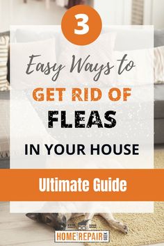 a dog laying on the floor with text overlay that reads 3 easy ways to get rid of fleas in your house