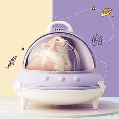 a white cat in a purple space capsule