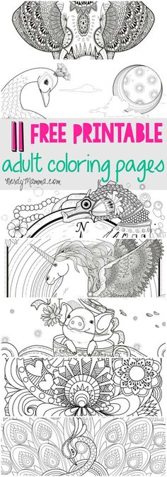 an adult coloring page with the title free printable adult coloring pages