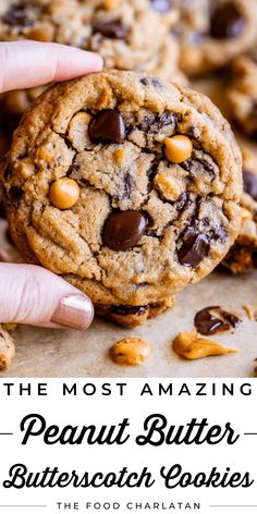 the most amazing peanut butter butterscotch cookies are made with chocolate chips and sea salt