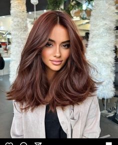 Dark Fall Hair, Chestnut Hair, Chestnut Hair Color, Brown Hair Looks, Brown Hair Inspo, Ginger Hair Color, Red Brown Hair, Hair Color Auburn, Auburn Hair