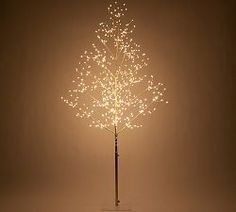 a lighted tree in the middle of a dark room with no lights on it,