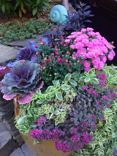 a potted planter filled with purple and green flowers